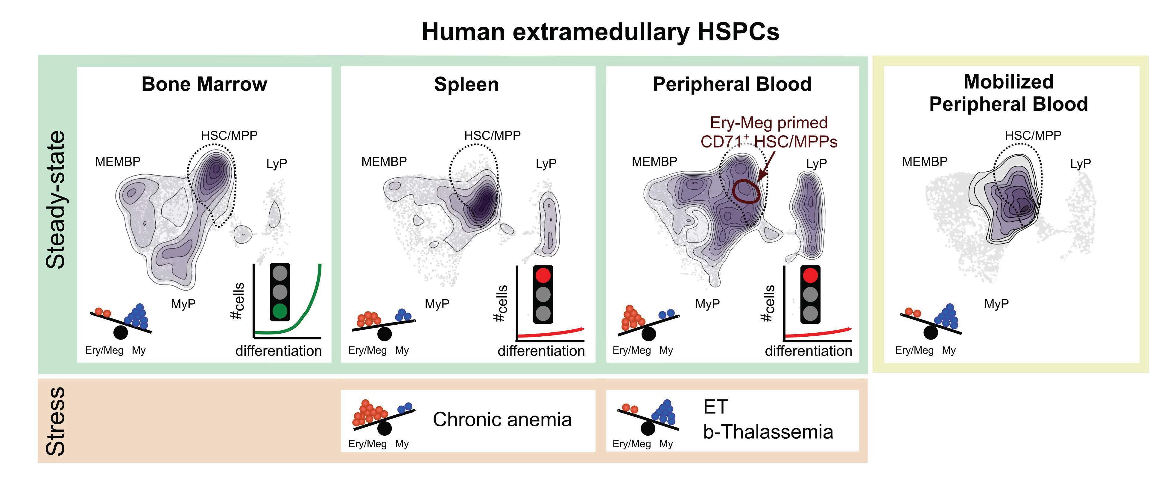 Graphical abstract Graphical abstract