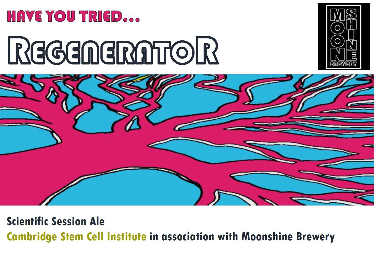 Brewing a taste for stem cell research