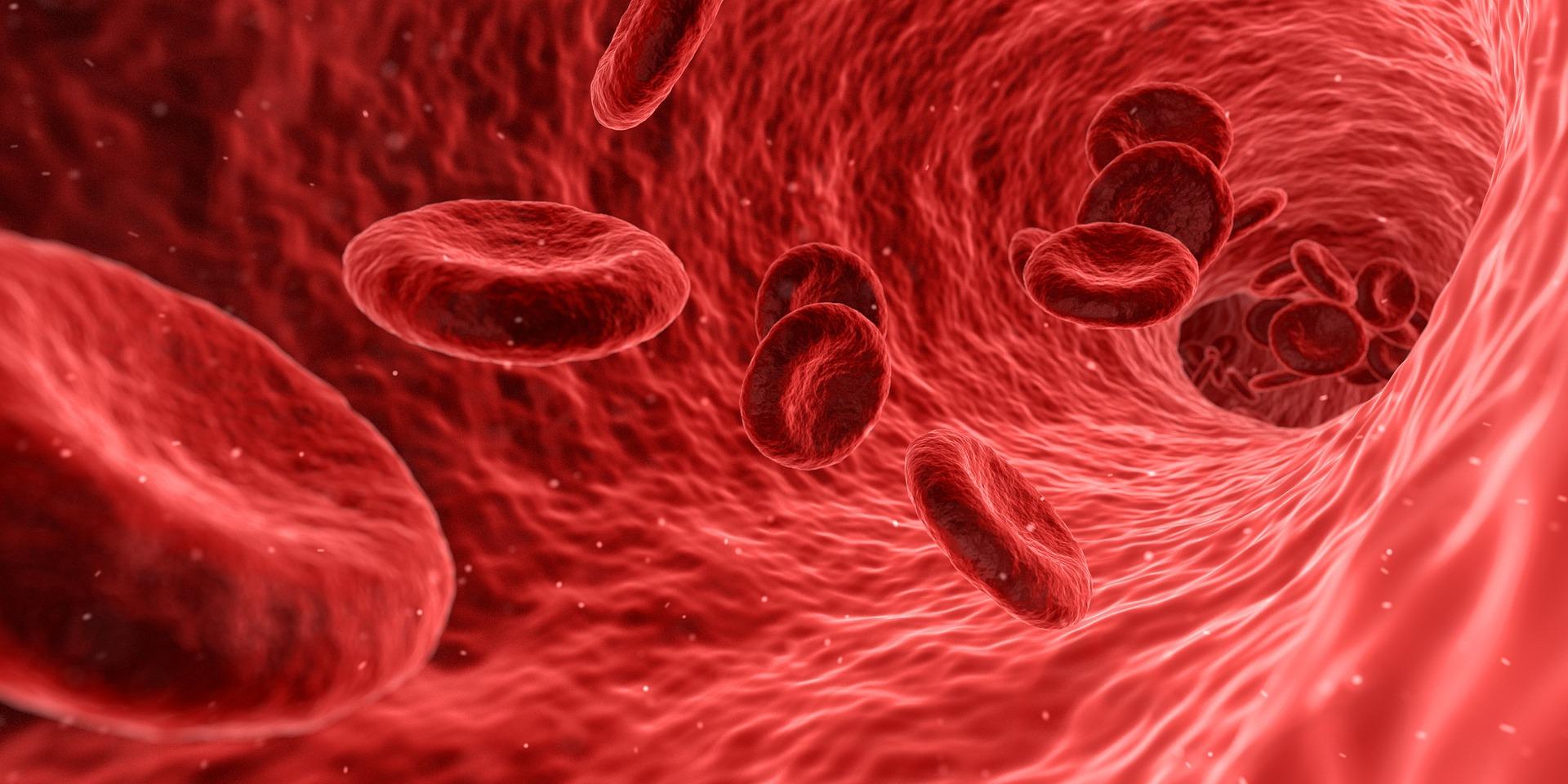 Blood cells (Source: Pixabay) From eye drops to potential leukaemia treatment