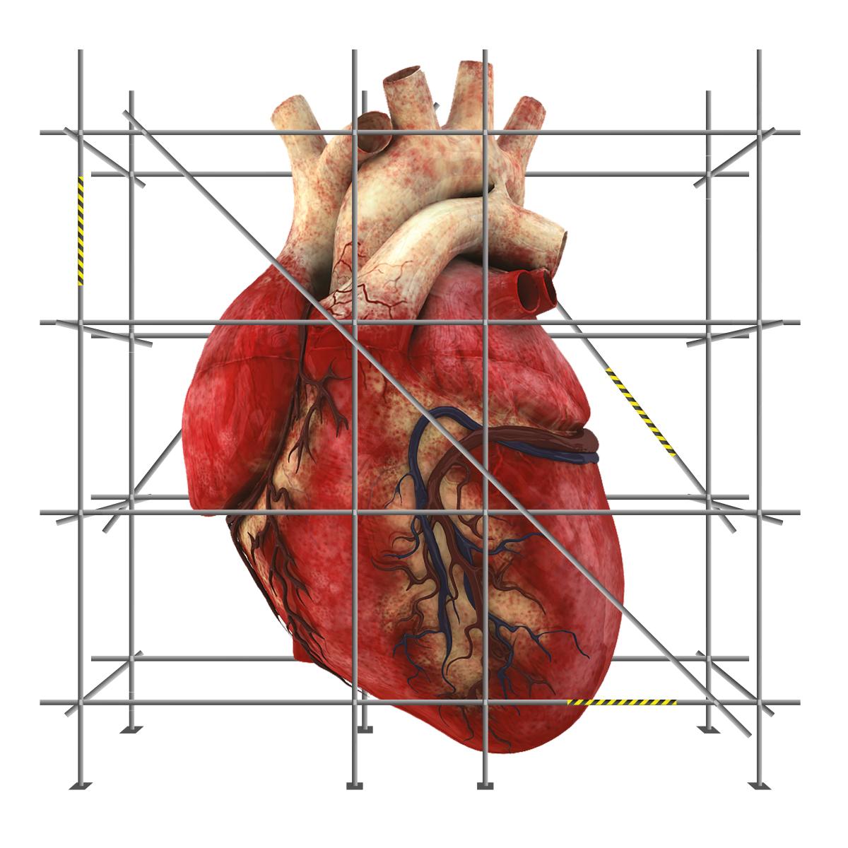 Image credit: Jonathan Settle (University of Cambridge) and The District Patching up a broken heart