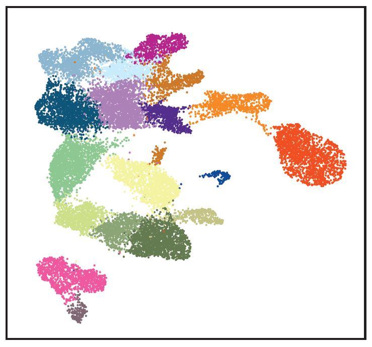 Uncovering the regulatory blueprint for early mammalian organ formation
