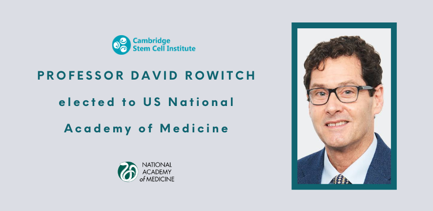 Rowitch press release banner Rowitch press release banner