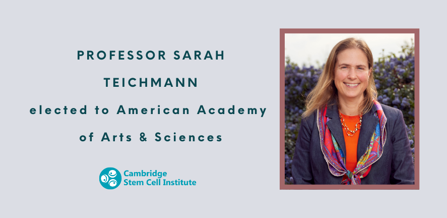 Teichmann announcement
