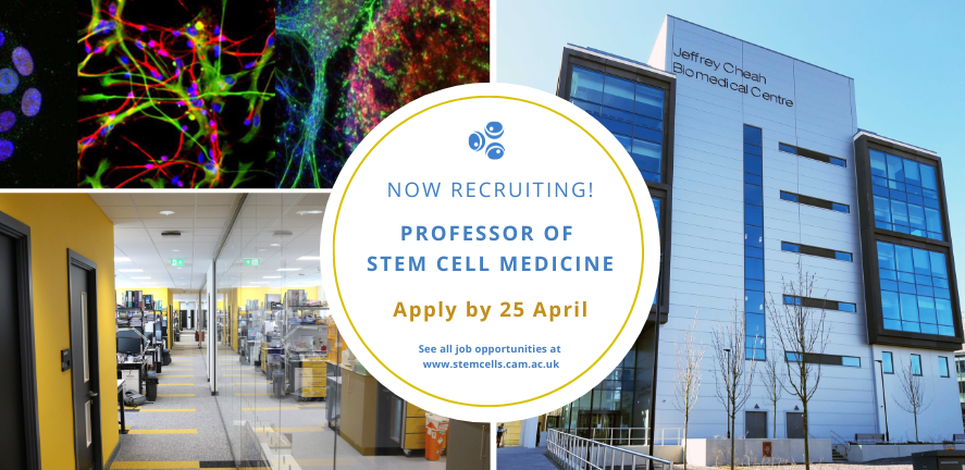 Recruiting for Professorship 2023