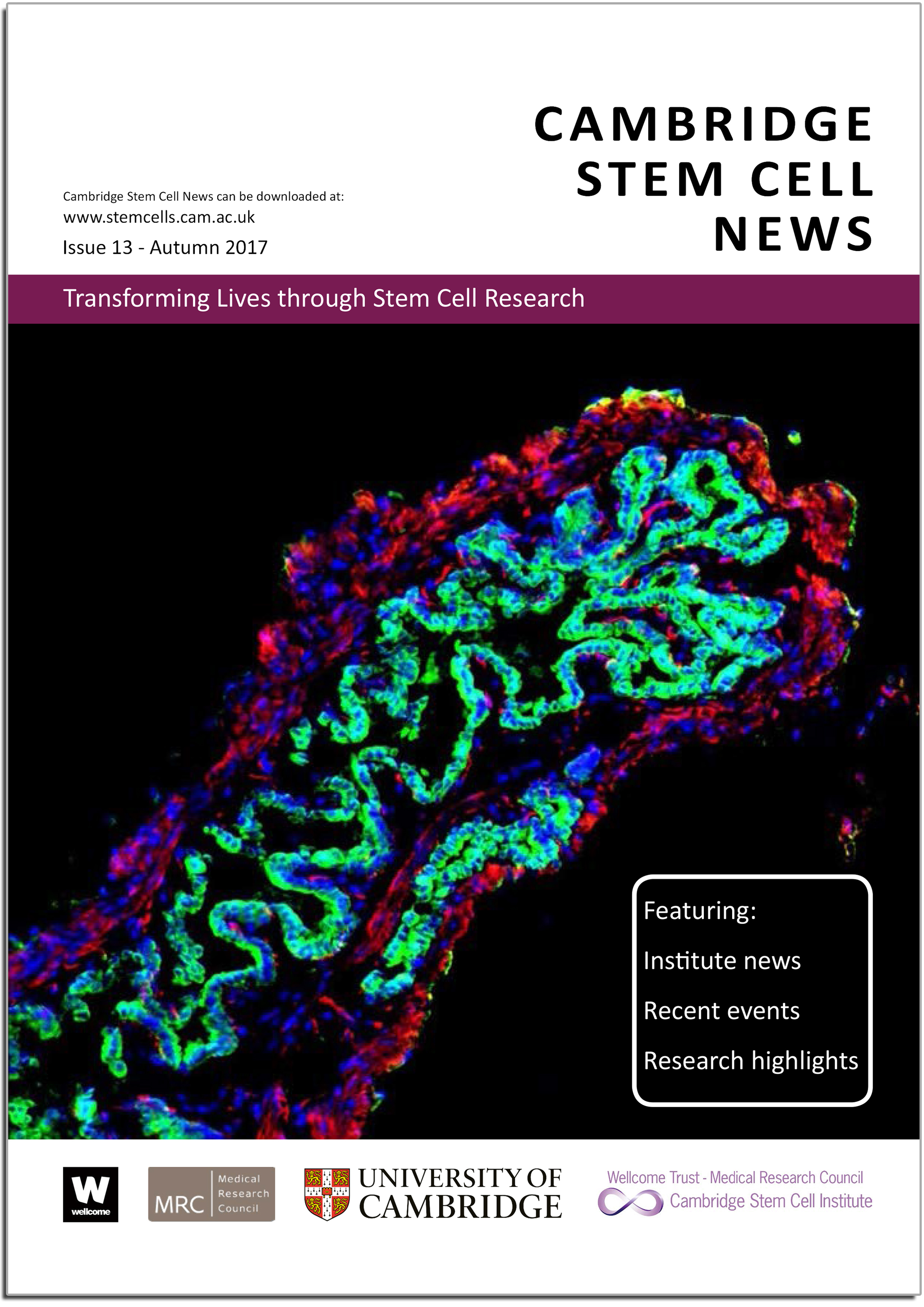 Stem Cell News - Front page