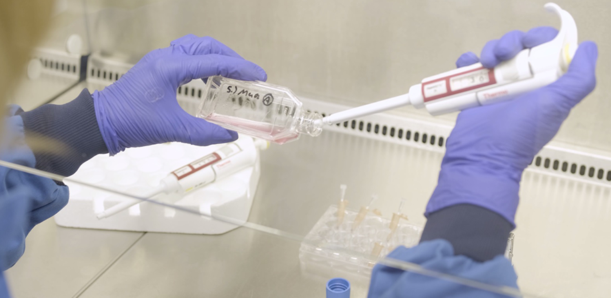 Removing a small cell sample during clinical trials