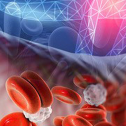 Expanding populations of blood cells. Credit Karen Arnott EMBL-EBI