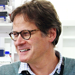 Professor Robin Franklin elected to the Fellowship of the Academy of Medical Sciences