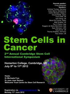 Stem Cells in Cancer