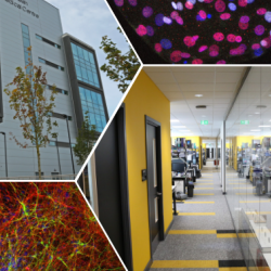 Collage of facilities and science photos