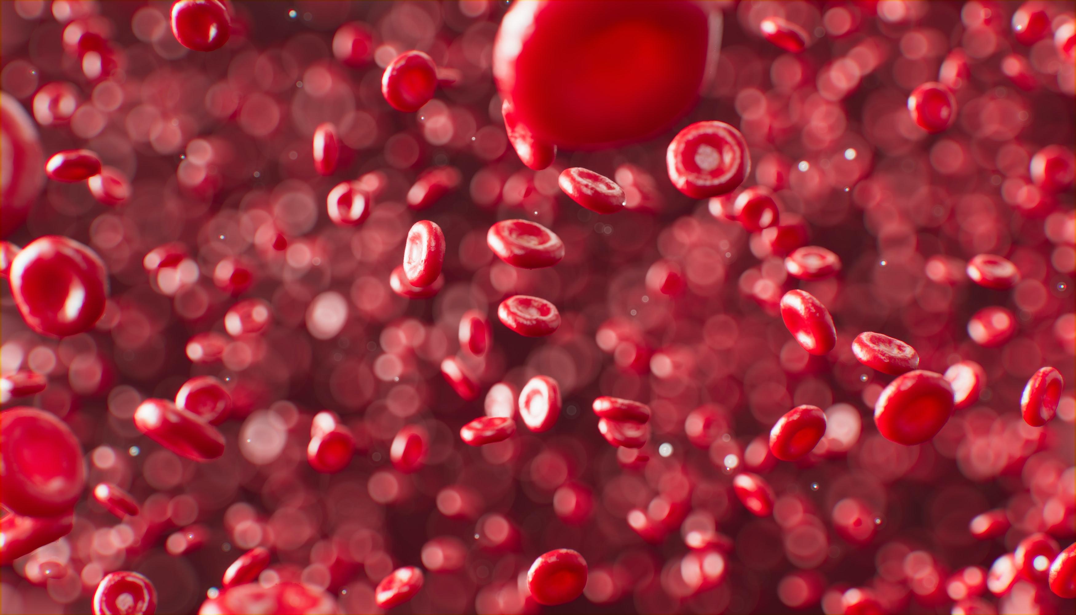Blood cells. Credit Anirudh 