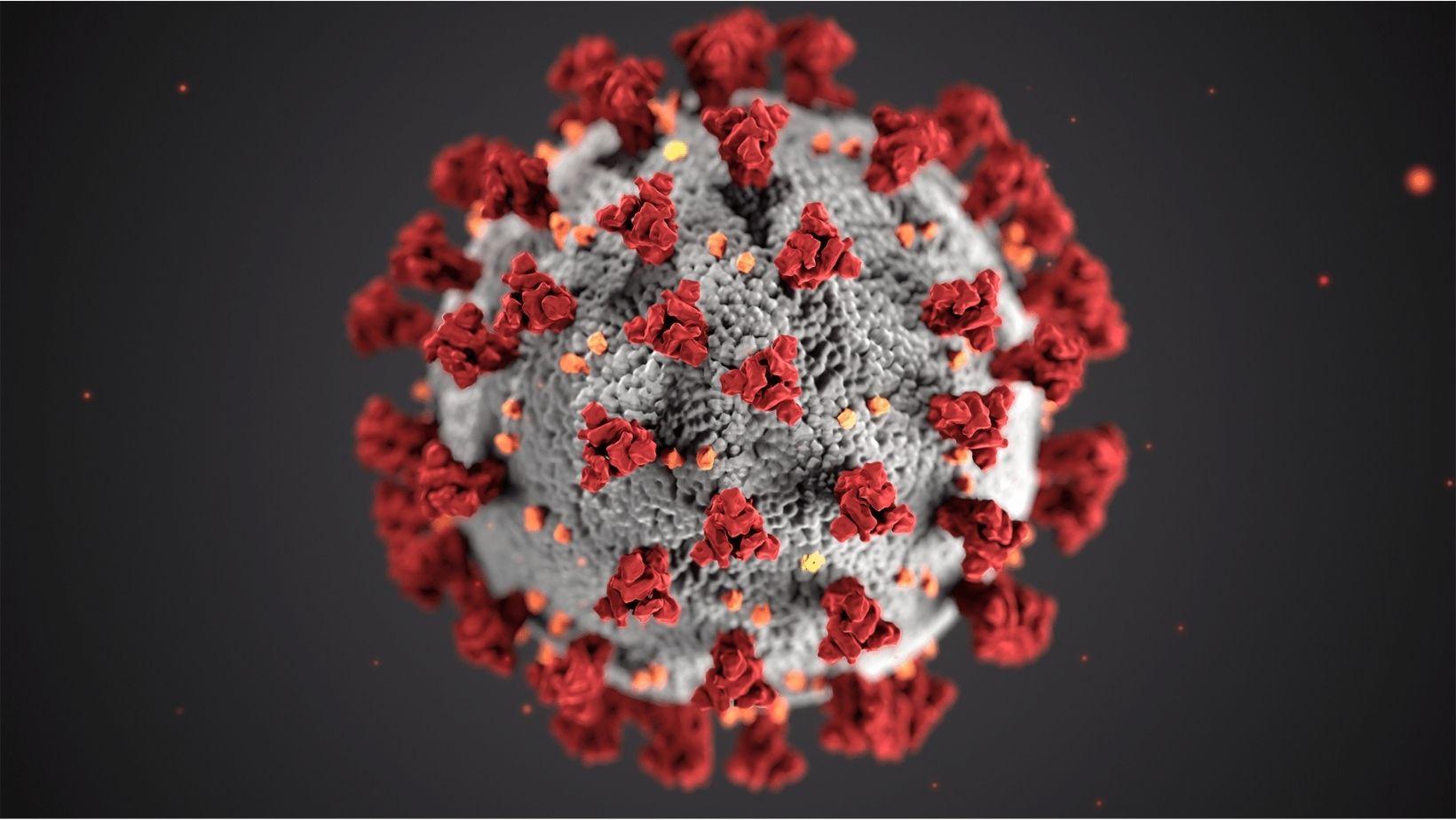 Coronavirus image. Credit: CDC