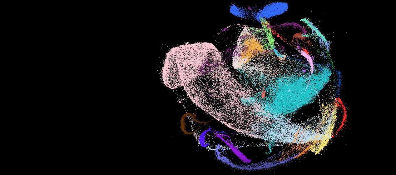 First cell map of developing human liver reveals how blood and immune system develop