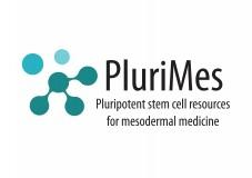 PluriMes project launched