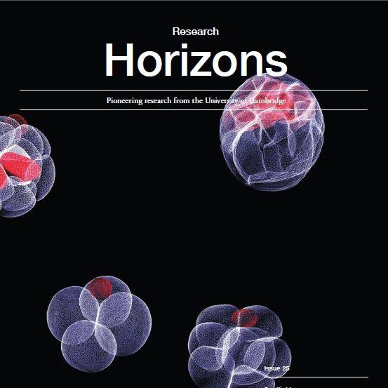 Research Horizons - Spotlight on Stem Cells