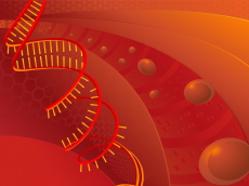 SCI Bioinformatics Core contributes to new genome-scale resource